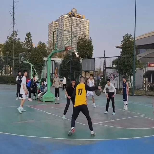 运动员复出动态:从年轻化视角探究第54组现象